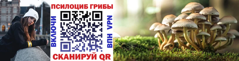 Галлюциногенные грибы Psilocybine cubensis  Злынка 